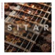 Sitar Single