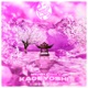 Kageyoshi feat TOYO REQUIEM Single
