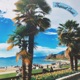Tropical Coast Single