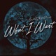 What i Want EP