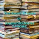 The Short Stories of Rabindranath Tagore
