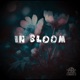 In Bloom Single
