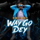 Way Go Dey Single