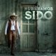 Hubiéramos Sido Single