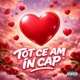 Tot ce am in cap Single