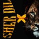 Sher Dil feat EAGLE BEATZ Single