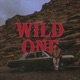 Wild One Single