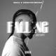 Falling Remix Single