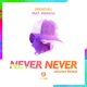 Never Never cocomo Remix feat Indiiana Single