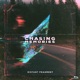 Chasing Memories Single