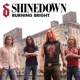 Burning Bright Single