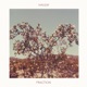 Fraction Single