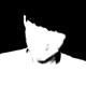 Darkness Single