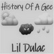 History Of A Gee