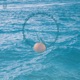 Halocline Single