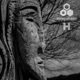 H EP