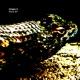 Rono EP Single