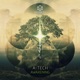 Awakening Single