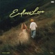 Endless Love Single