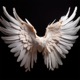 White Wings Single