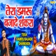 Tera Damru Bajade Shankara Single