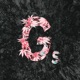 Gs Single