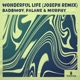 Wonderful Life JOSEPH CH Remix feat Murphy Single