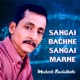 Sangai Bachne Sangai Marne Single
