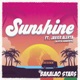 Sunshine feat Javier Alerta Alerta Kamarada Single