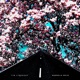 Magnolia Drive Single