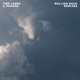 Rolling Back Monkey Safari Remix Single
