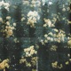 Lost in Garden EP