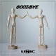 Goodbye Single