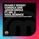 Soul Science Homero Espinosa and Mark Farina Remix feat Mr V Single