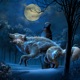 Wake Up the Wolves Single