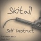 Self Destruct Single