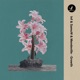 Growth Single