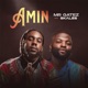 Amin feat Skales Single
