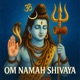 Om Namah Shivaya Single
