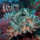 Namaste Single