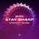 Stay Sharp Single Mystery Sense Remix Single