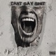CAN T SAY SHIT feat Scar ZANDV Single