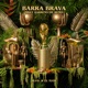 Barra Brava Mikey Barreneche Remix Single