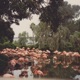 Spaceland Single