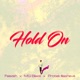 Hold On feat MG Blaze protek illasheva Single