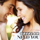 NEED YOU Single