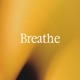 Breathe feat Turt Single