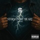 Storm In My Heart EDM Mix Single