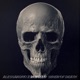 Siren of Death Single