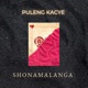 Shonamalanga Single